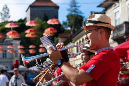 Izjemen obisk zaznamoval 50. Dneve narodnih noš in oblačilne dediščine v Kamniku (Blaž T. Muc)  (147)